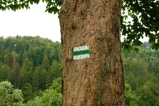 山試驗