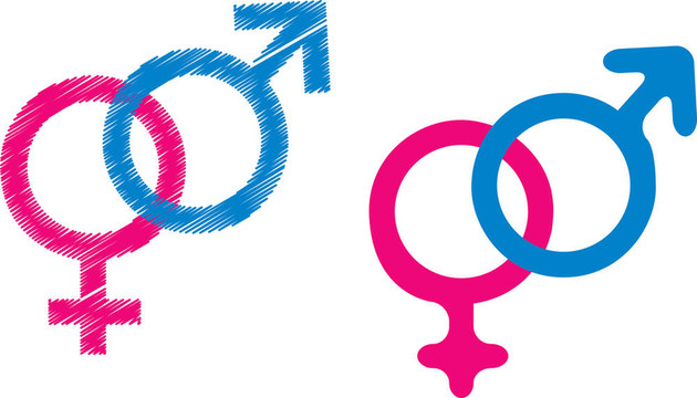 男人和女人都