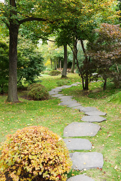 秋天公園的石頭之路