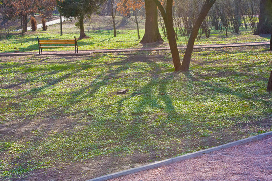 公園里的粉紅色礫石小徑