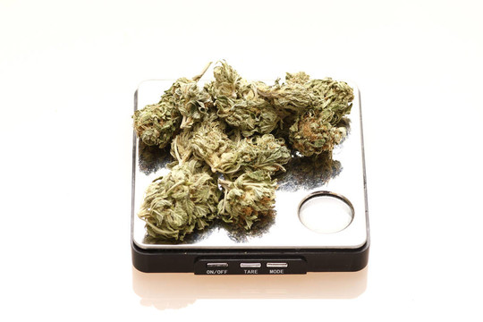 醫(yī)用大麻