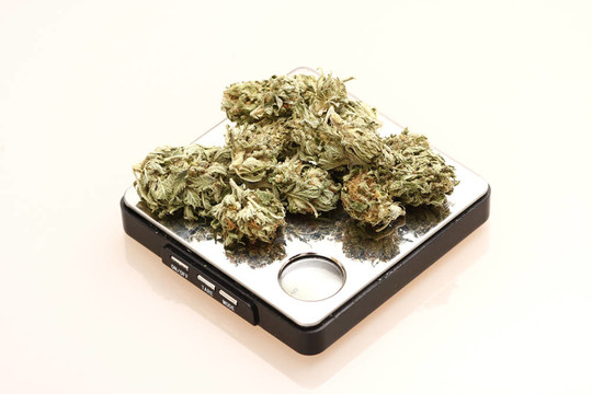 醫(yī)用大麻