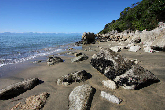 新西蘭海灘