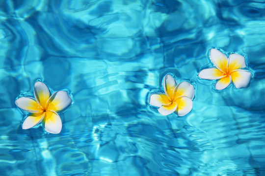 花在水
