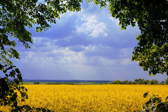 landscape_frame