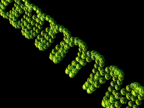 基因在DNA
