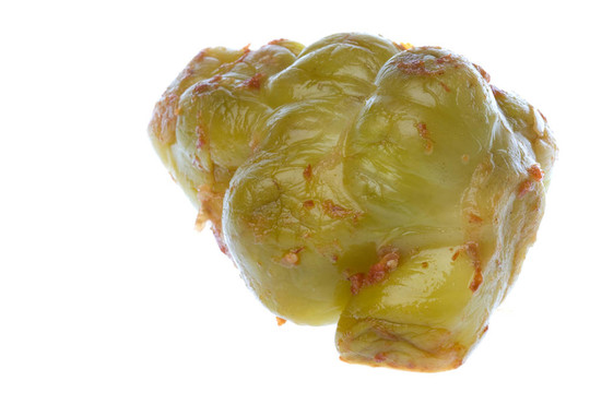榨菜根