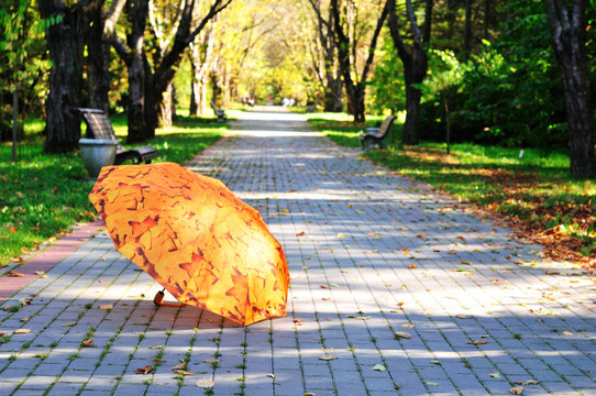 公園里的雨傘