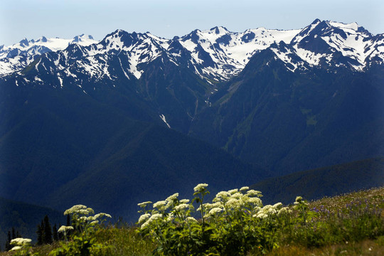 雪山火山山脊奧林匹克國家公園華盛頓