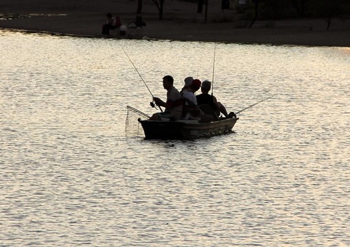 垂釣