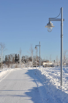 冬季城市公園步行路徑