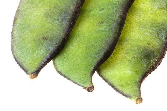 扁豆分離