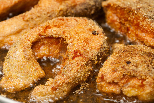 烤鮭魚(yú)片
