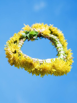 蒲公英的花環(huán)