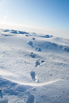 雪地里的腳印