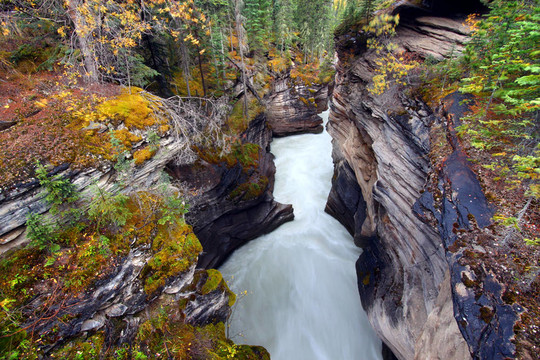 Athabasca Falls Gorge -加拿大