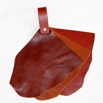 皮革樣品