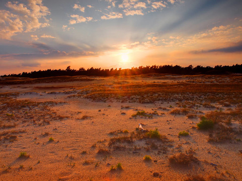 太阳落在风吹过的沙丘上