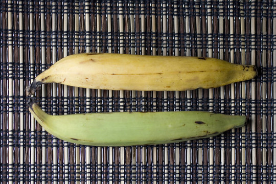 大蕉