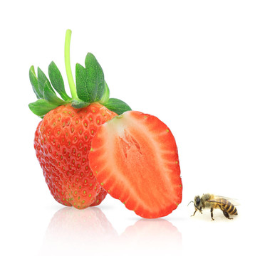 Strawberry berry與蜜蜂