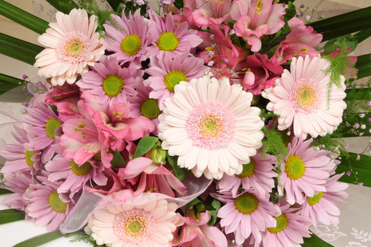 Flowers束