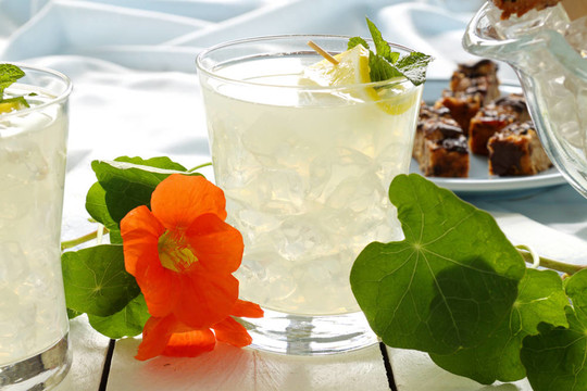 冰檸檬飲料