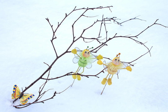 雪中樹(shù)枝上的蝴蝶