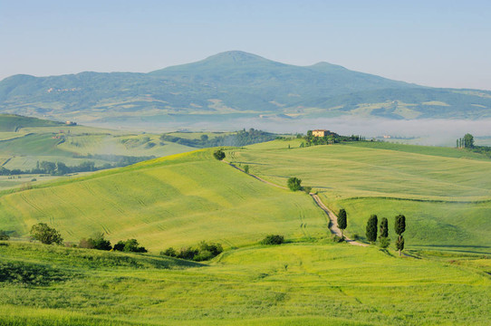 Podere Terrapille 06