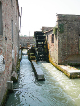 Padua；意大利