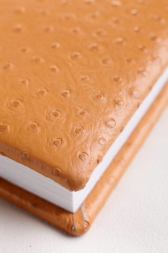 橙皮書