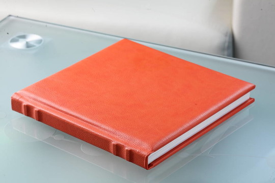 橙皮書