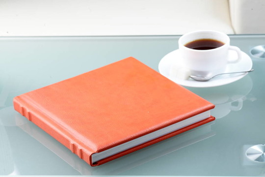 橙皮書