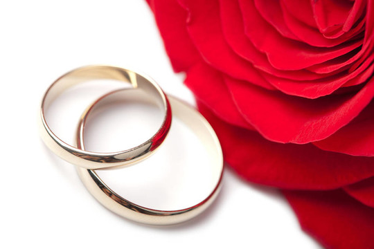 結(jié)婚戒指和紅玫瑰