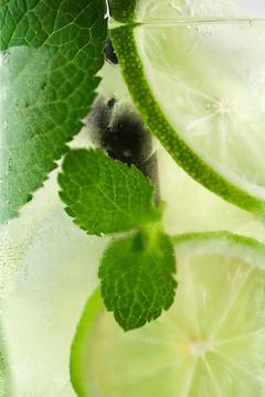 隨著Mojito關閉背景冷玻璃