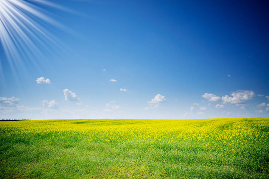 好rapefield和Cloudscape。