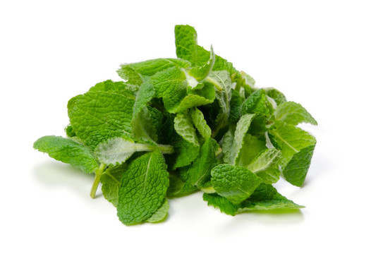 蘋果薄荷