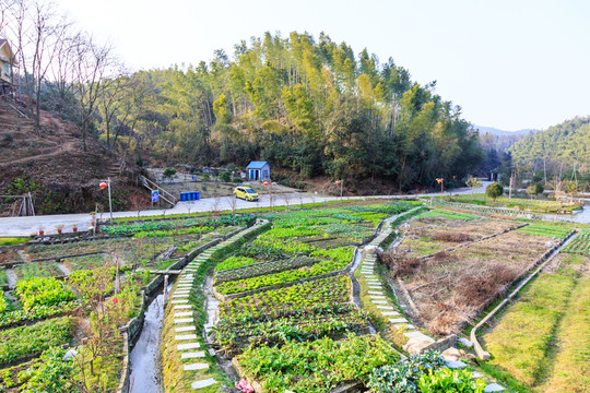 農(nóng)家樂