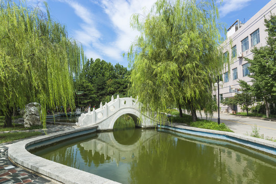 石橋碧水