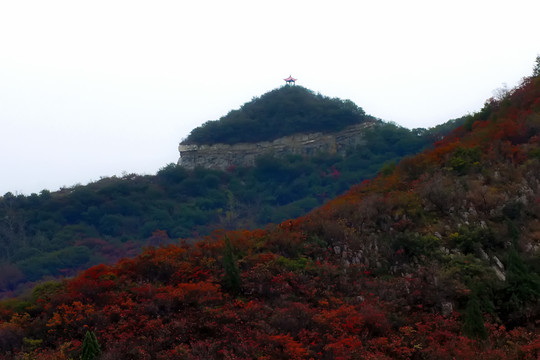 鞏義長壽山紅葉 高清無噪