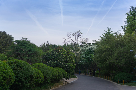 公園
