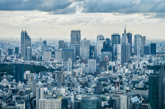 城市