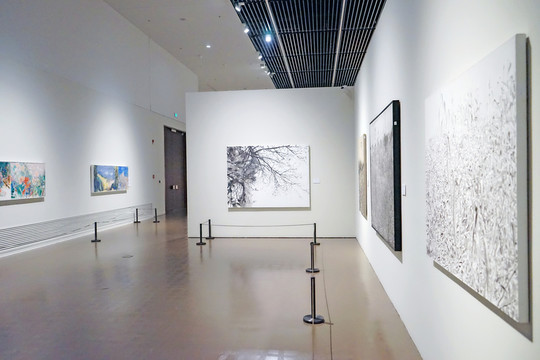 美術展 展會 博物館展廳