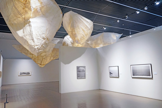 美術(shù)展 展會(huì) 博物館展廳