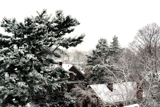 雪中城