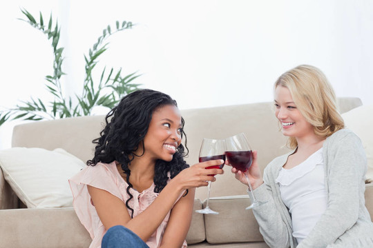 兩個女人互相微笑著拿著酒杯