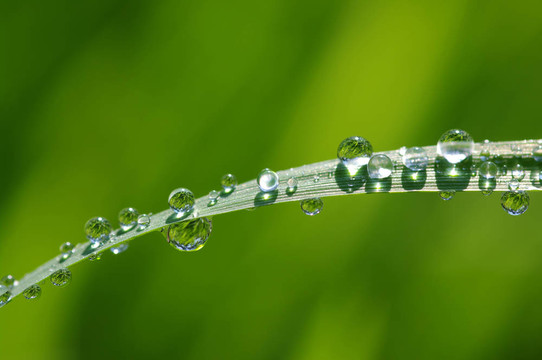 水滴
