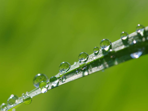 水滴