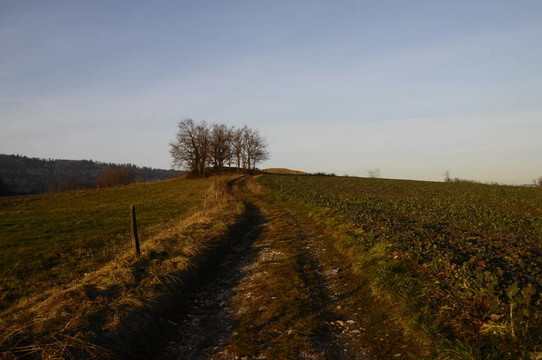 Hill；通過日落的燈光穿過耕地和拖拉機(jī)路