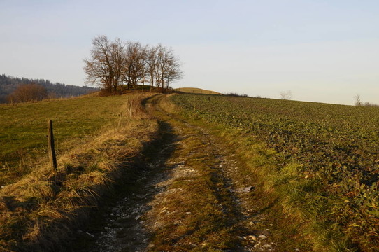 Hill；通過日落的燈光穿過耕地和拖拉機(jī)路