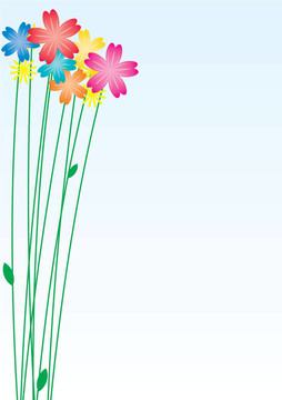 花卉背景色